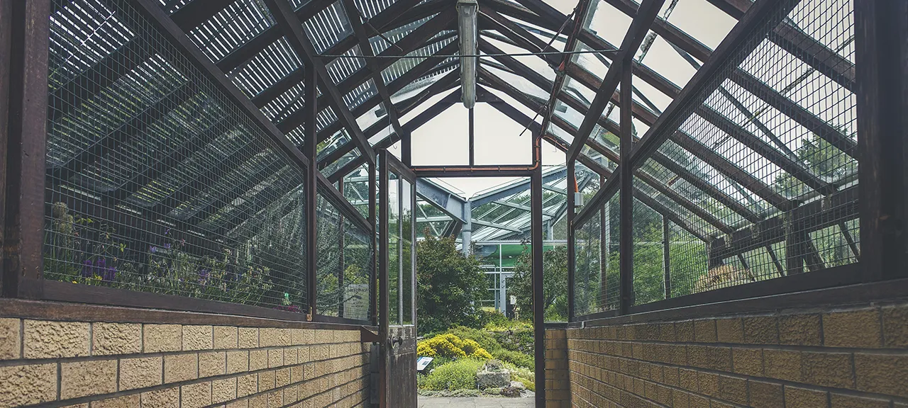 Estructura metálica para terraza